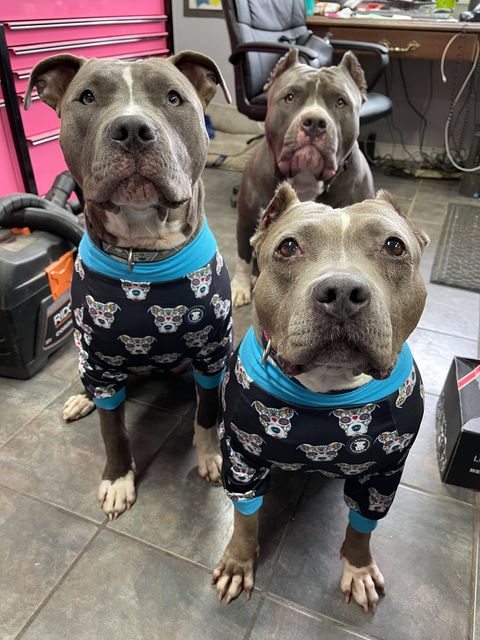 Black ‘Sugar Skull' Pit bull Tees