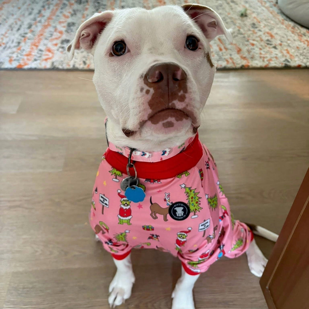 *PRE-ORDER* How the Pittie Stole Christmas- Pink Pitbull Pajamas