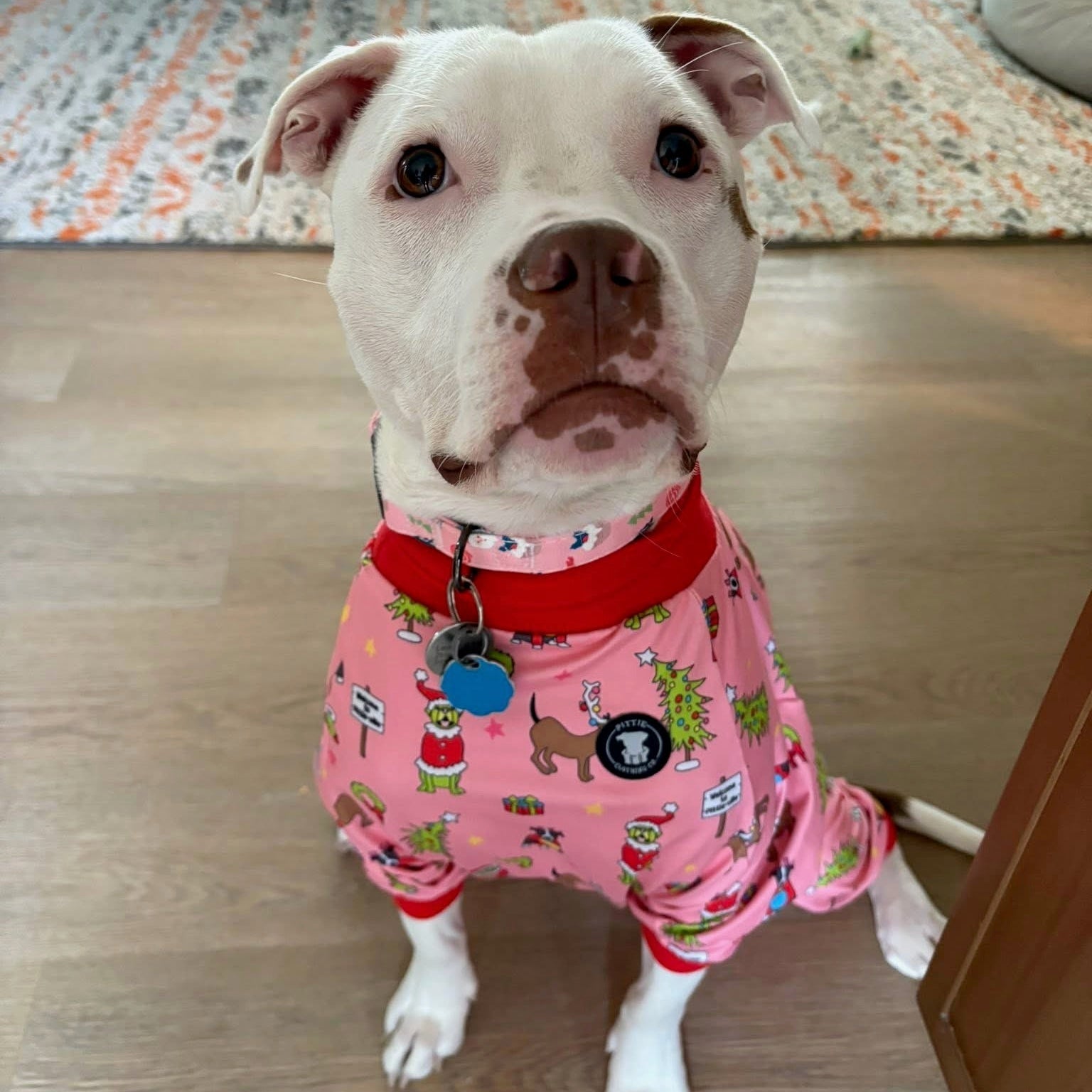 *PRE-ORDER* How the Pittie Stole Christmas- Pink Pitbull Pajamas