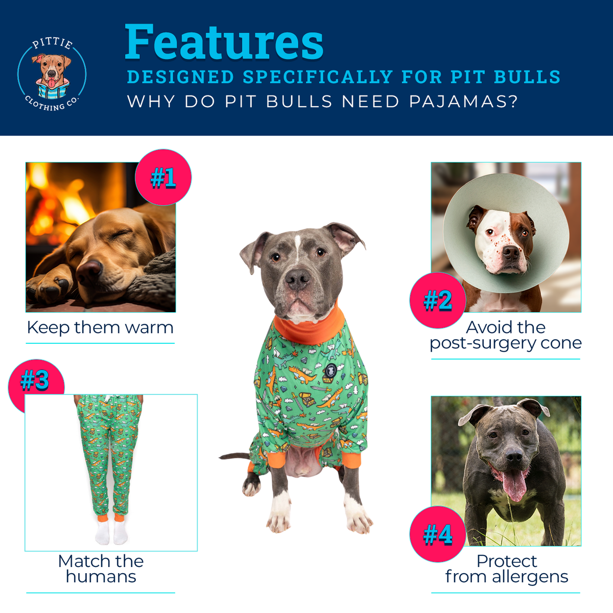 'Dragon Me to Bed' Pit bull Pajamas