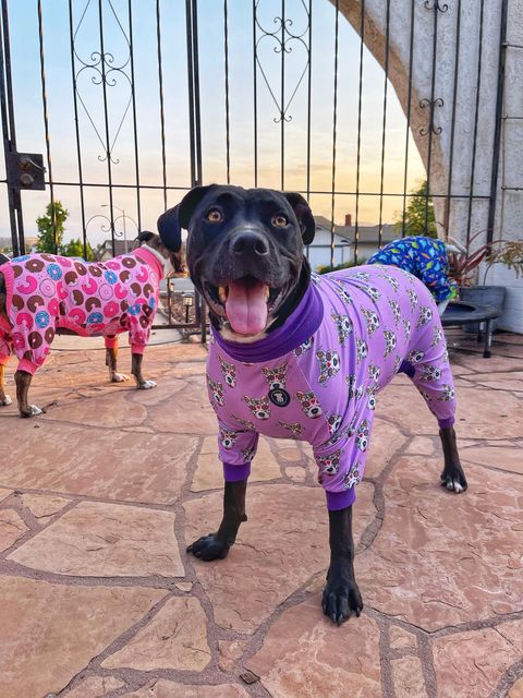 Purple 'Sugar Skull' Pit bull Pajamas