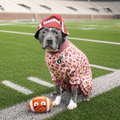 Touchdown Tails Pitbull Pajamas