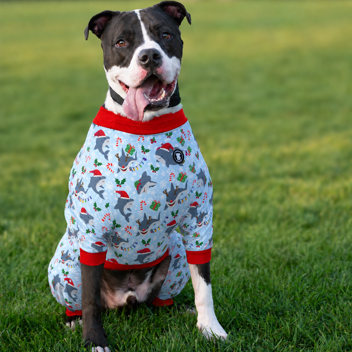 *PRE-ORDER* Santa Shark Squad Pitbull Pajamas