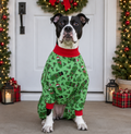 *PRE-ORDER* Pickle All the Way Pitbull Pajamas