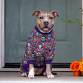 Scared Pit-less Pitbull Pajamas