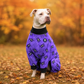 Itsy Bitsy Pittie Pitbull Pajamas