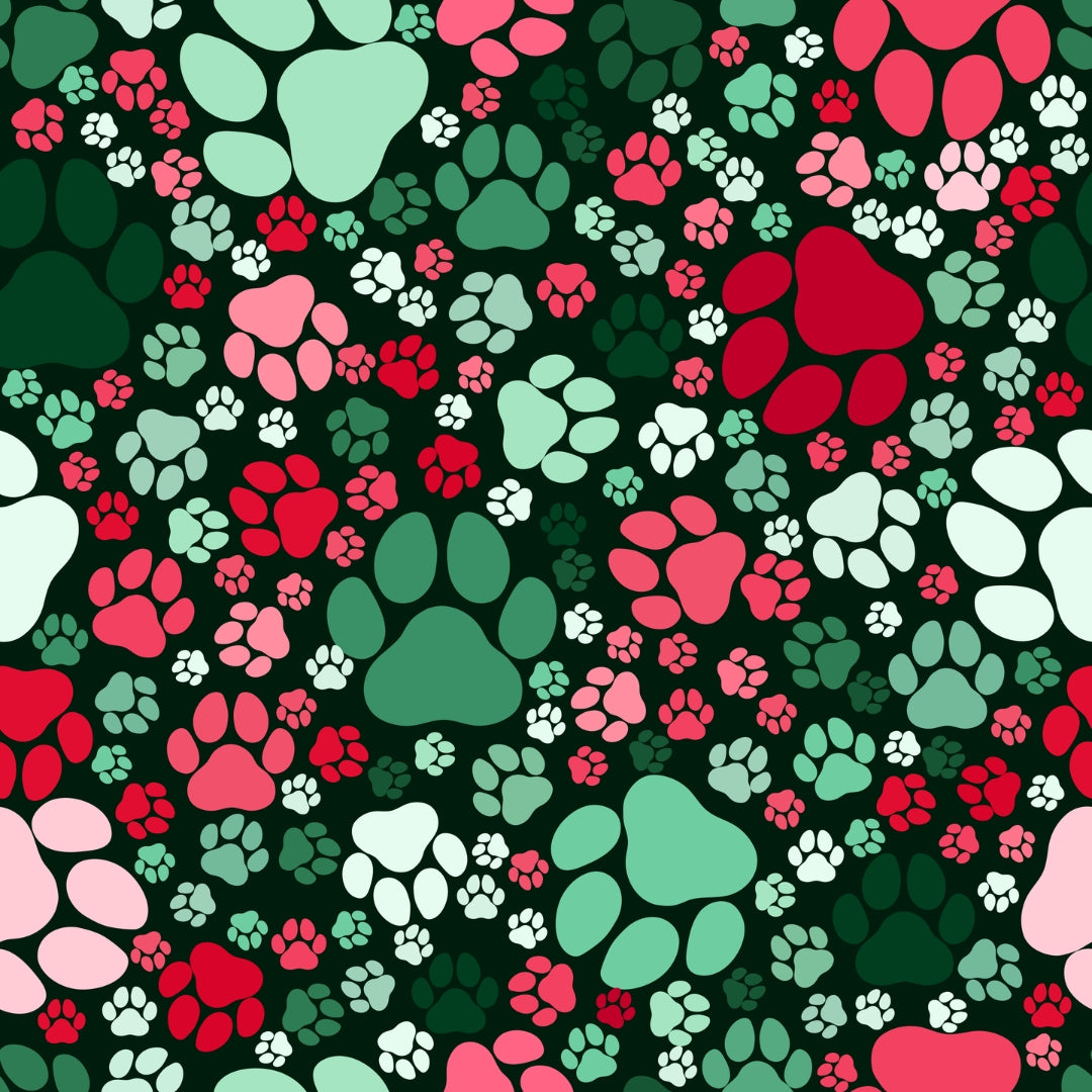 *PRE-ORDER* Deck the Paws Trendy clothes