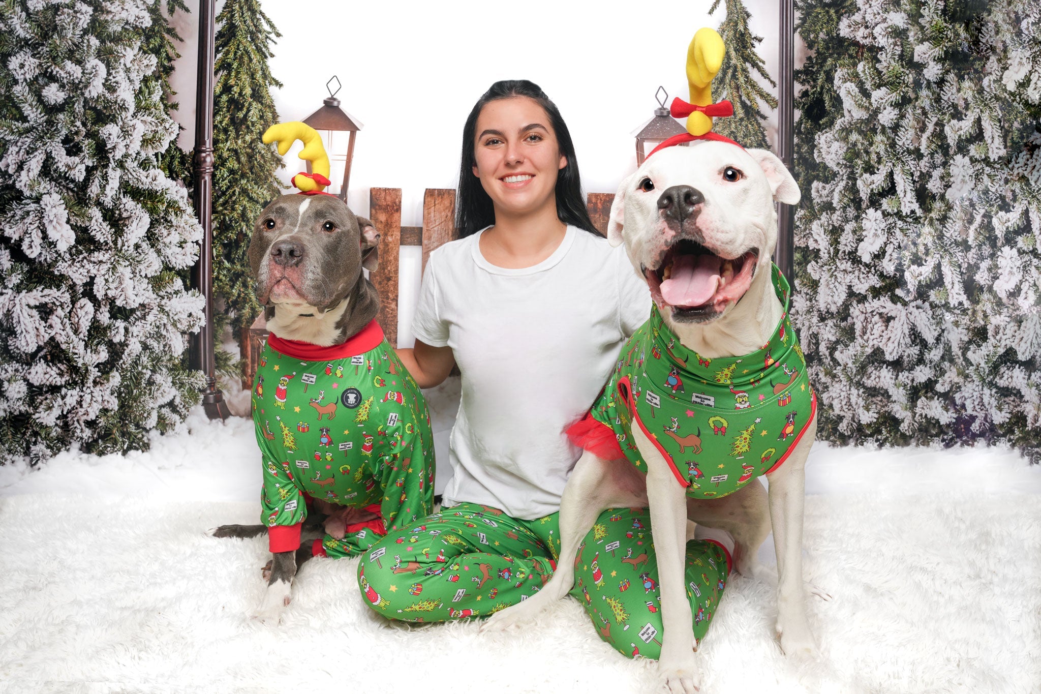 *PRE-ORDER* How the Pittie Stole Christmas- Green Pitbull Pajamas