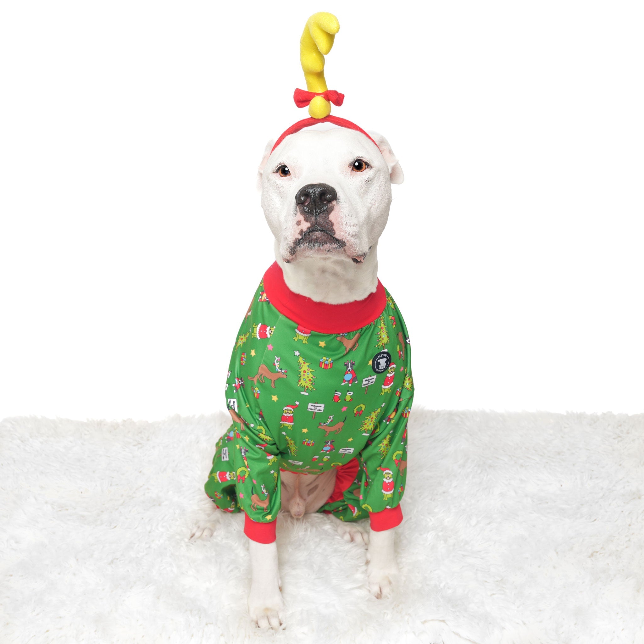 *PRE-ORDER* How the Pittie Stole Christmas- Green Pitbull Pajamas