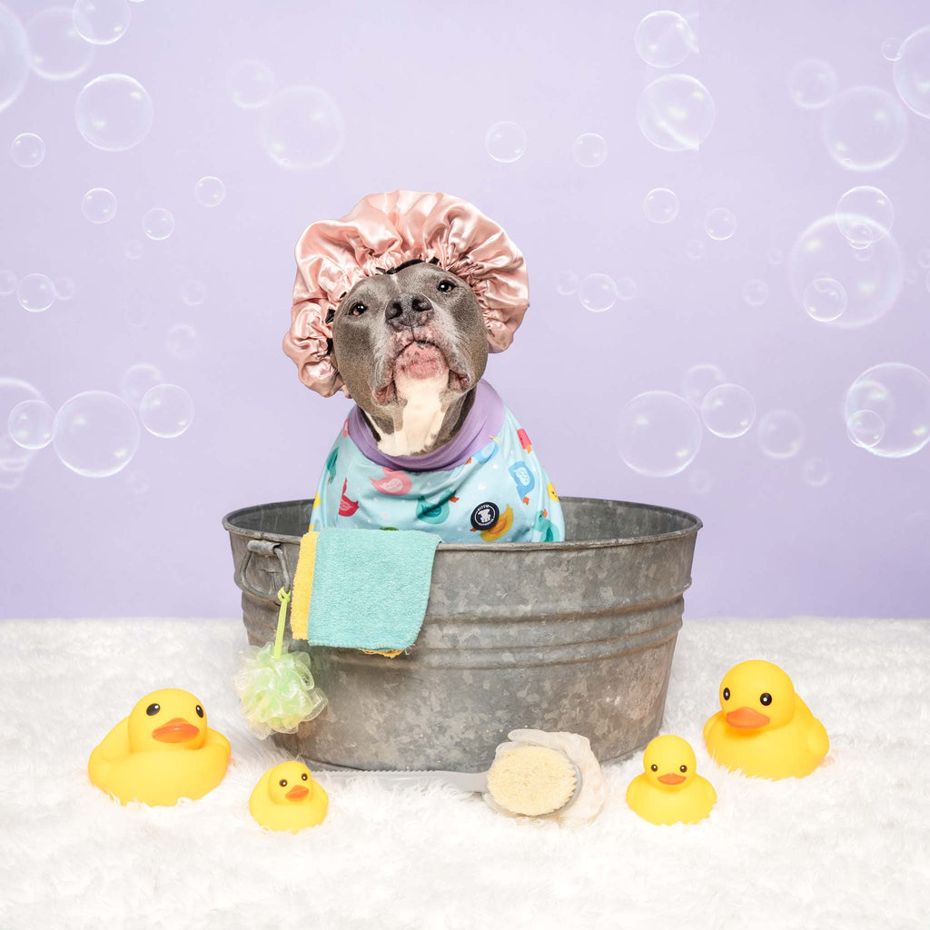 Purple 'So Ducking Cute' Pit bull Tees