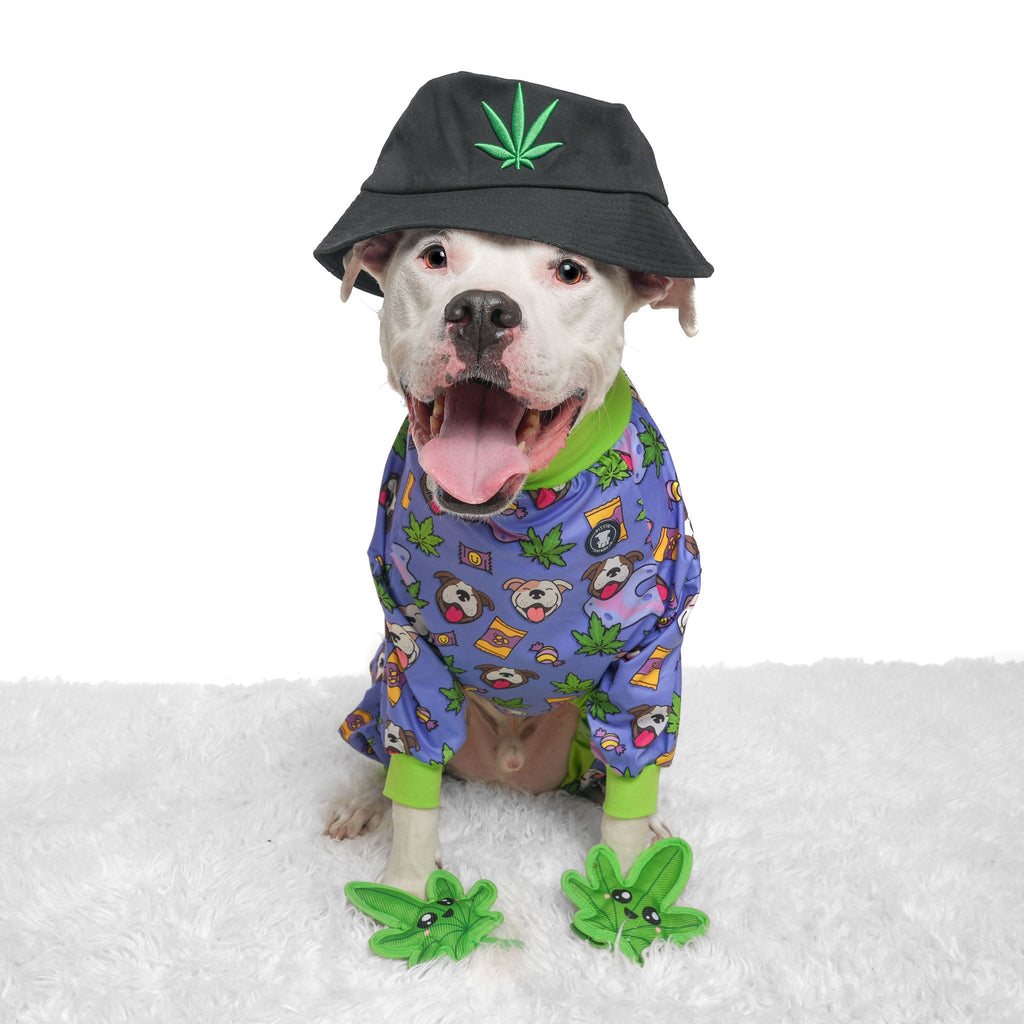 Ruff Ruff Pass Pitbull Pajamas