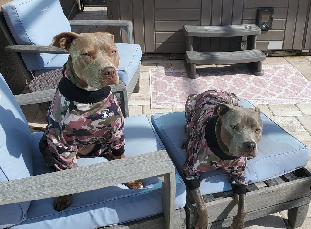 Classic Green Camo Pit bull Pajamas