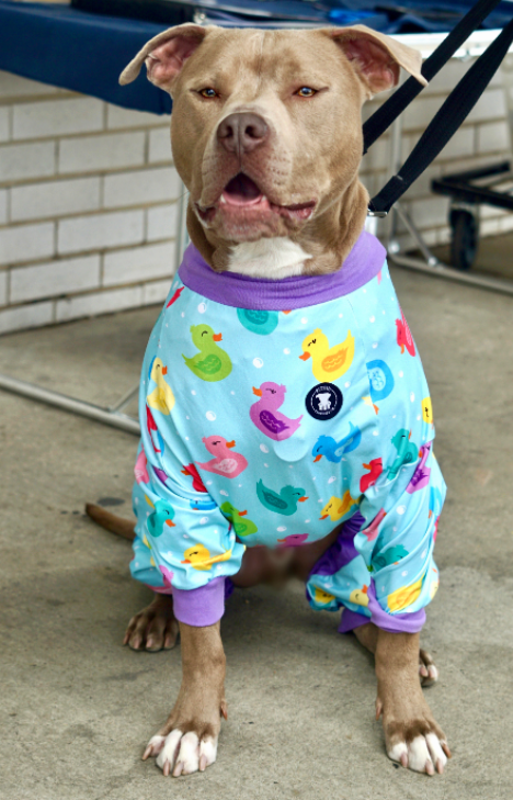 Purple 'So Ducking Cute' Pit bull Tees