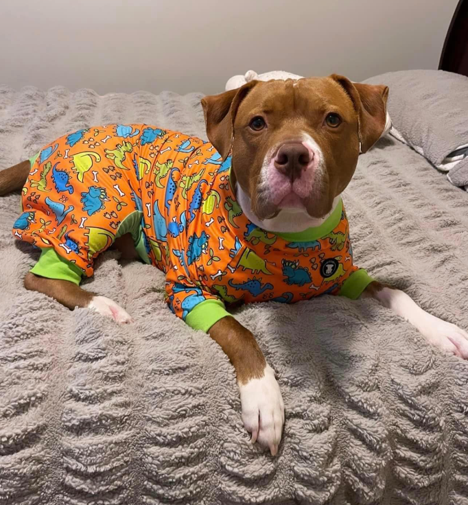 'Lazy Bones' Pit bull Pajamas