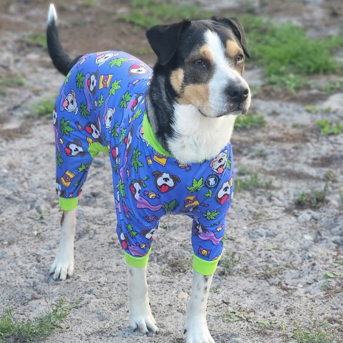 Ruff Ruff Pass Tees