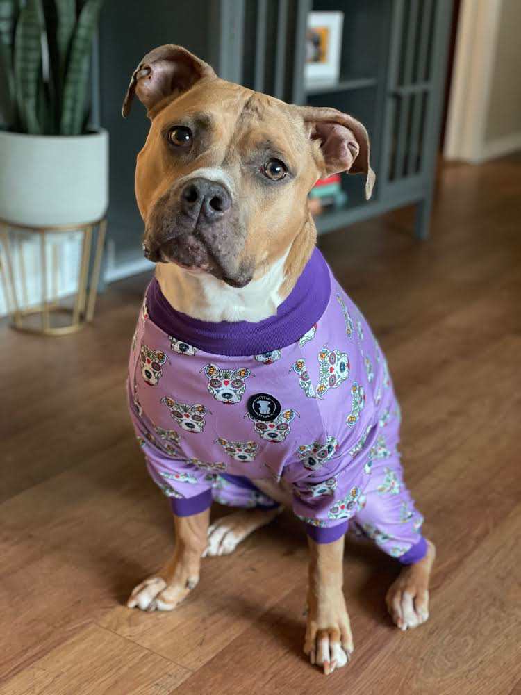 Purple 'Sugar Skull' Pit bull Pajamas