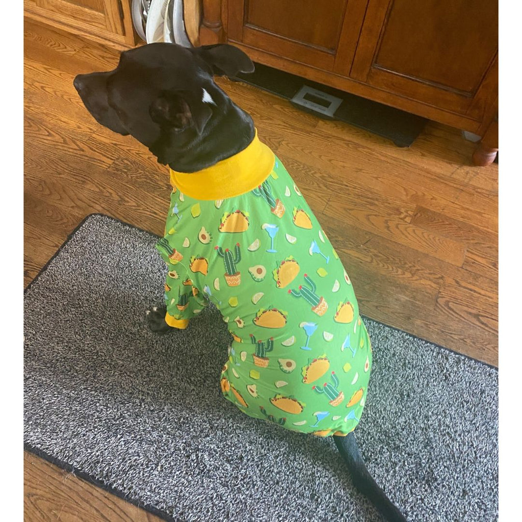 'Party like a Guac Star' Pit bull Pajamas- Green- FINAL SALE