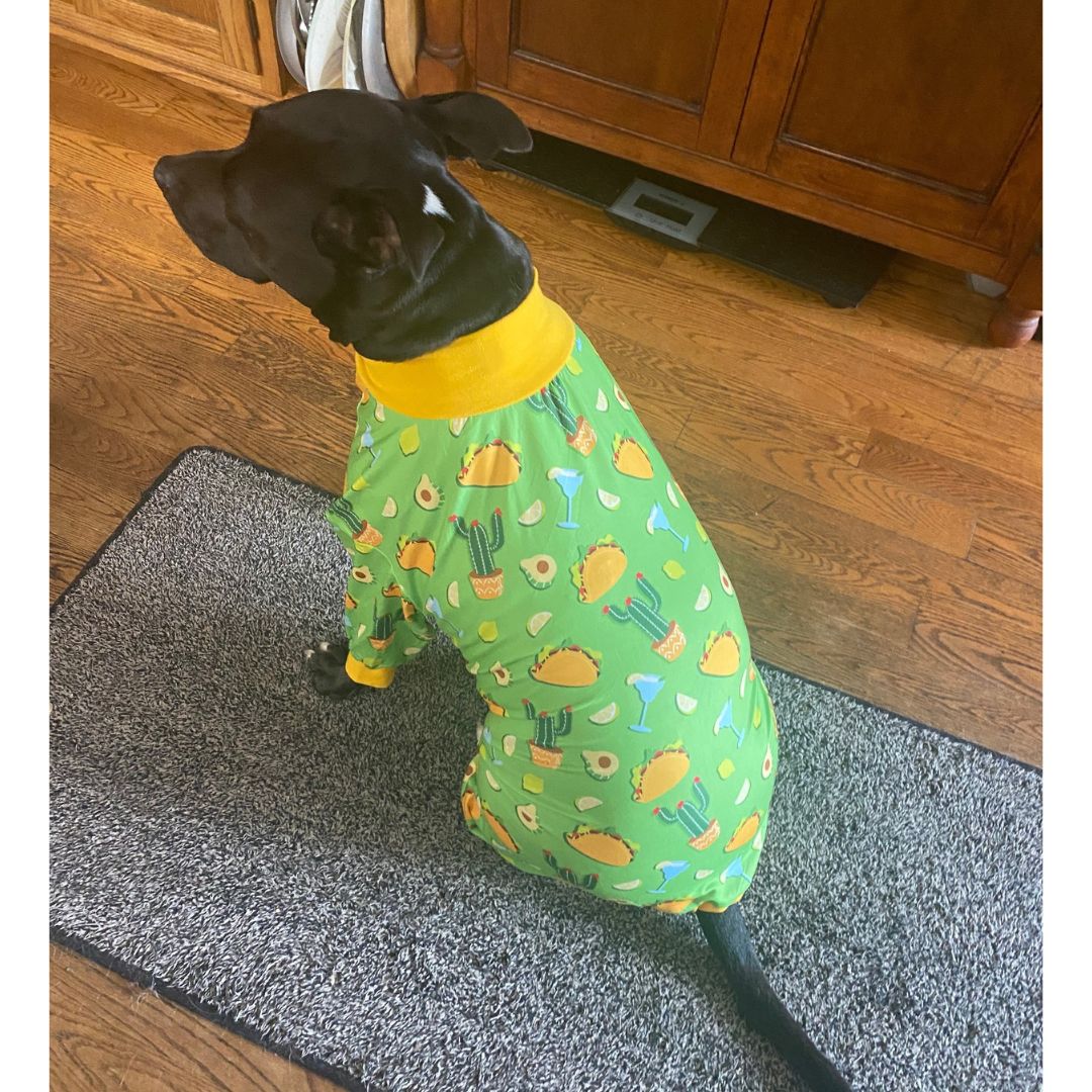 'Party like a Guac Star' Pit bull Pajamas- Green- FINAL SALE