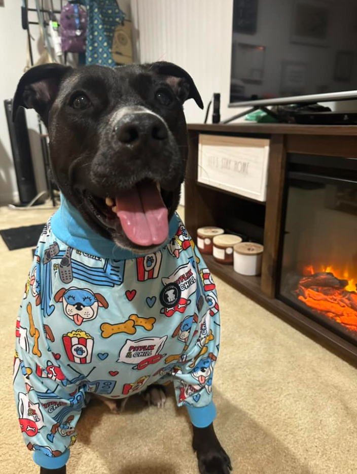 Blue 'Pitflix & Chill' Pit bull Pajamas