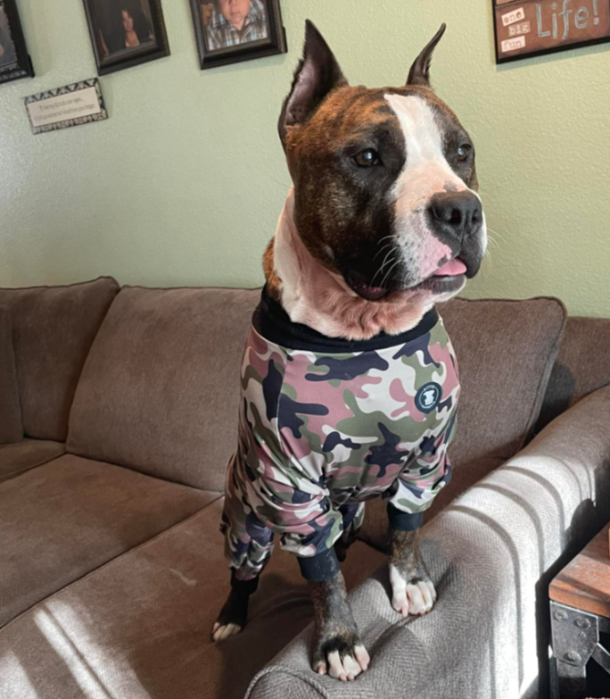 Classic Green Camo Pit bull Pajamas