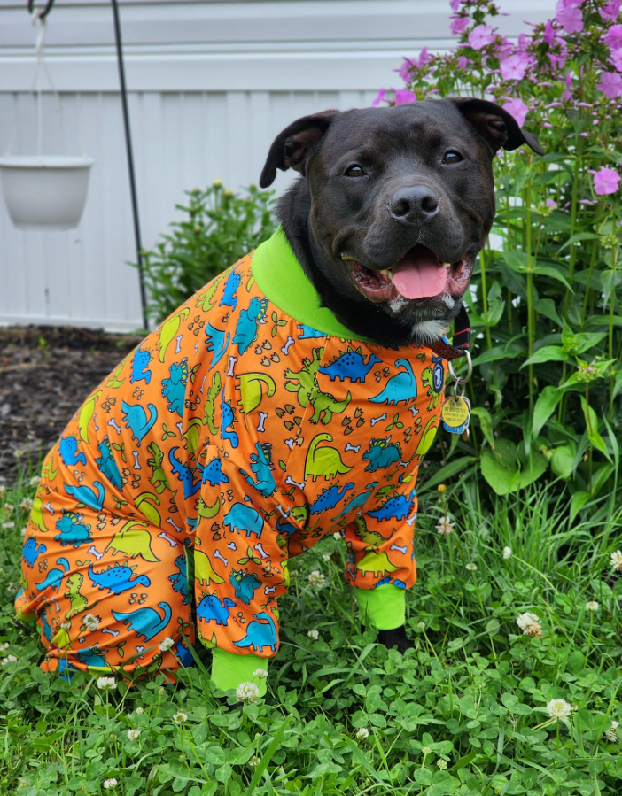 'Lazy Bones' Pit bull Pajamas