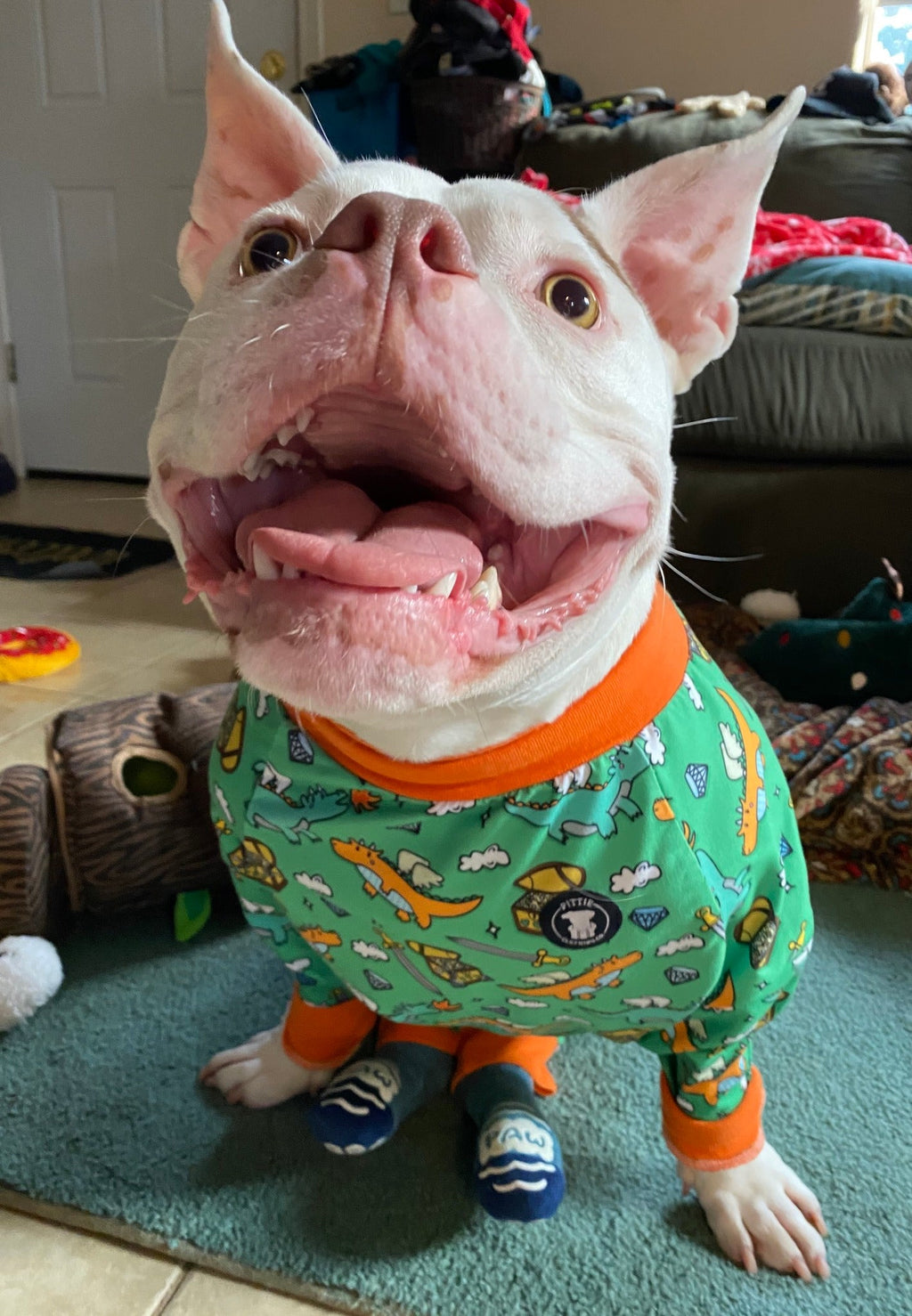 'Dragon Me to Bed' Pit bull Pajamas