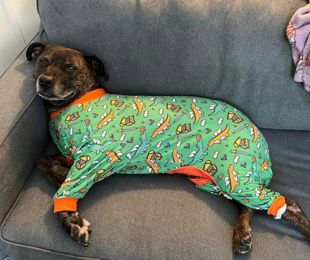 'Dragon Me to Bed' Pit bull Pajamas