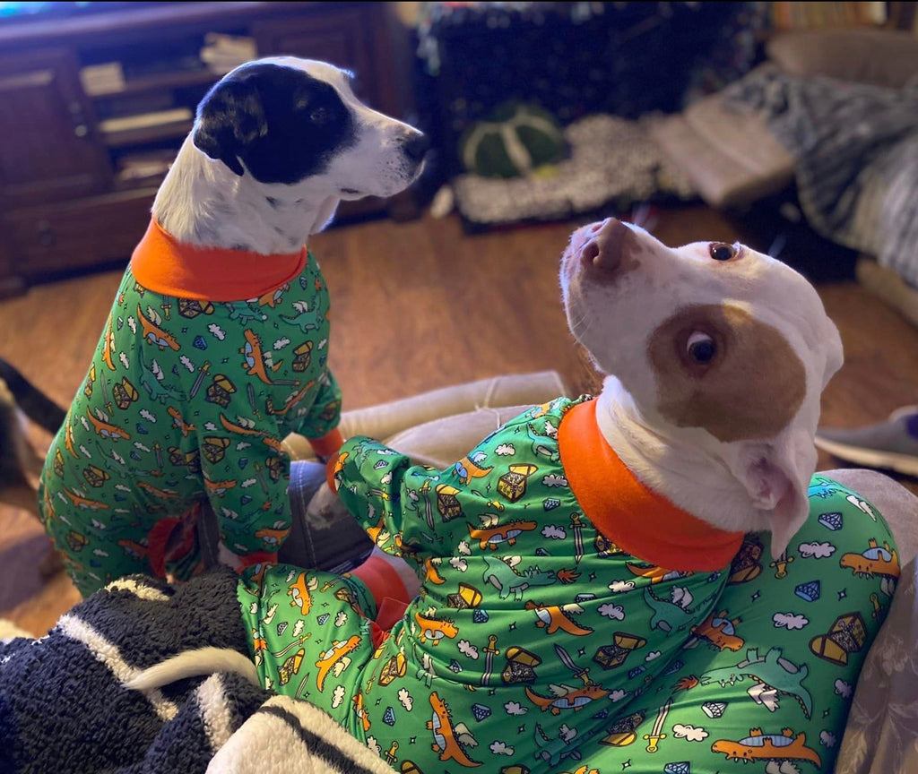 'Dragon Me to Bed' Pit bull Pajamas