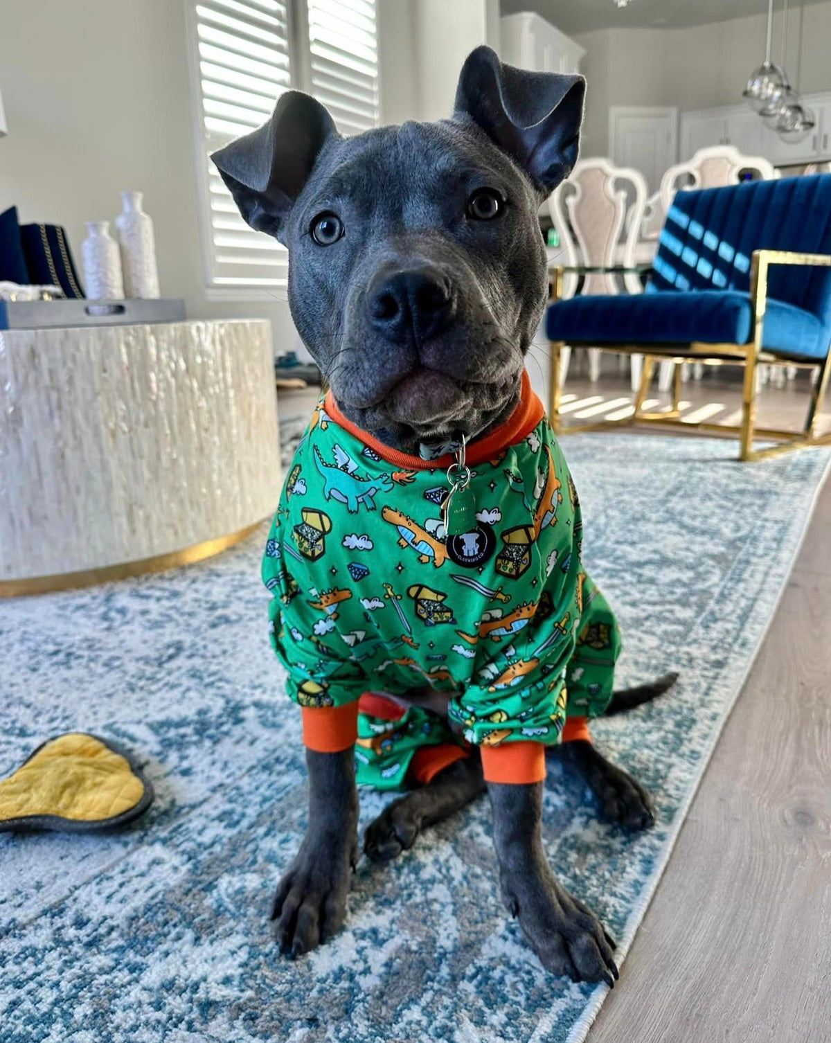 'Dragon Me to Bed' Pit bull Pajamas
