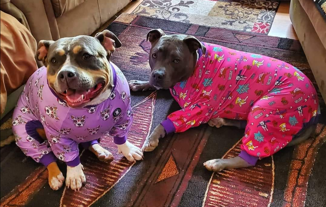 Purple 'Sugar Skull' Pit bull Pajamas