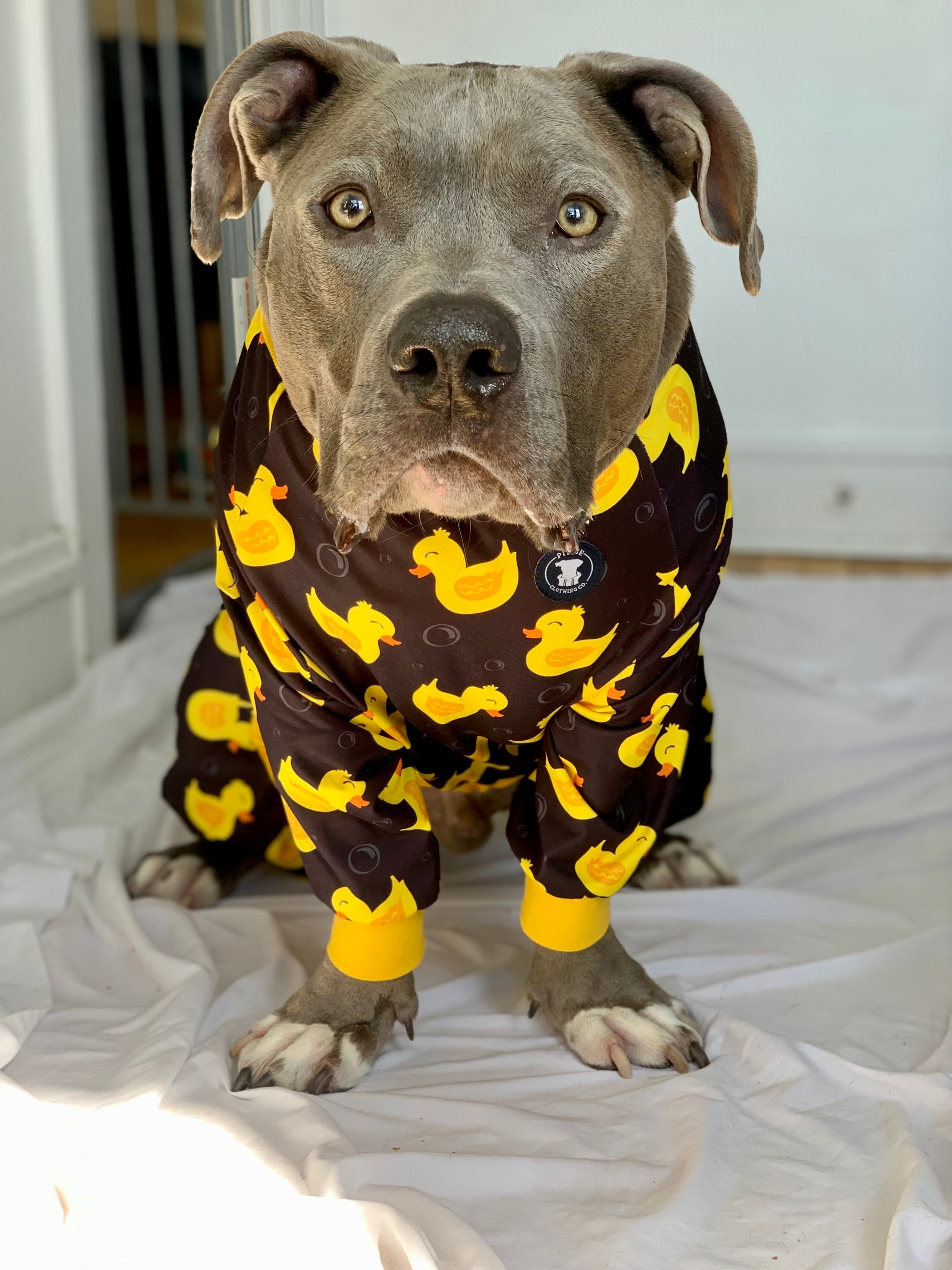 Black 'So Ducking Cute' Pit bull Pajamas